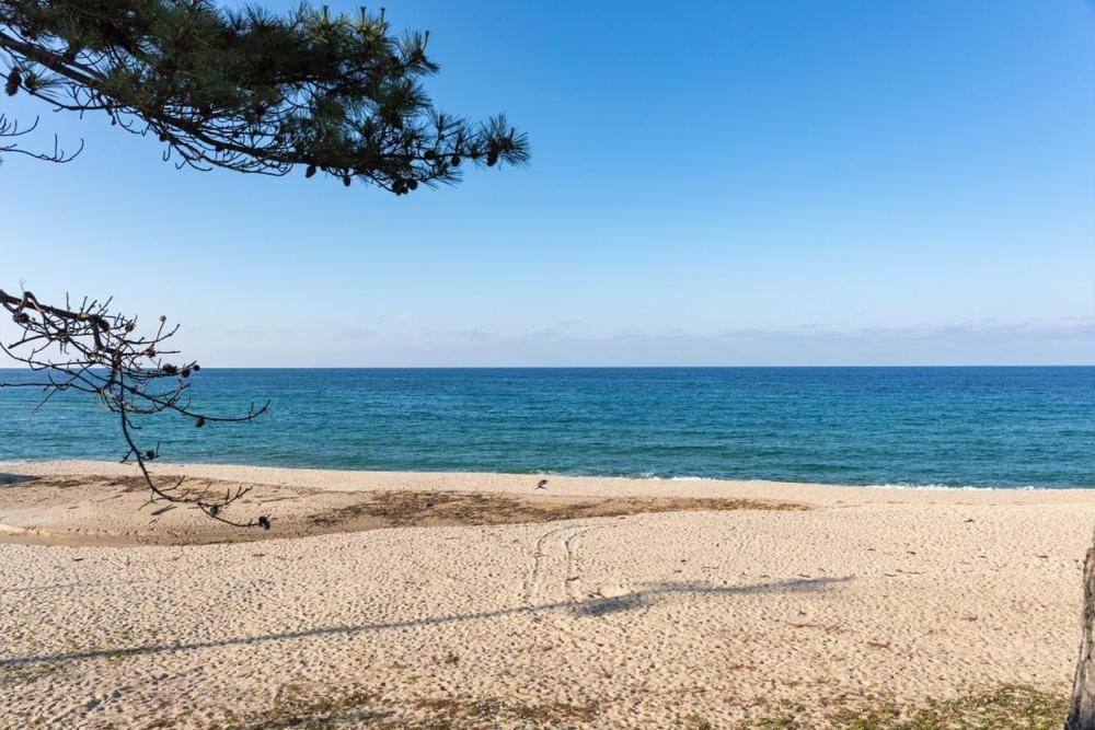 ホテル Gangneung St153 エクステリア 写真